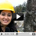 Pacific Blasting Vancouver Video Interview